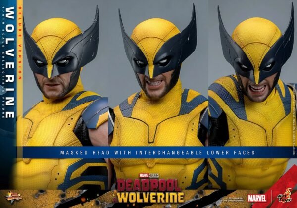 2024 Hot Toys Deadpool 3: Wolverine (Deluxe Version) Sixth Scale Figure - Image 5
