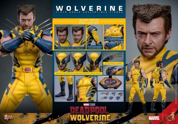 2024 Hot Toys Deadpool 3: Wolverine (Deluxe Version) Sixth Scale Figure - Image 2