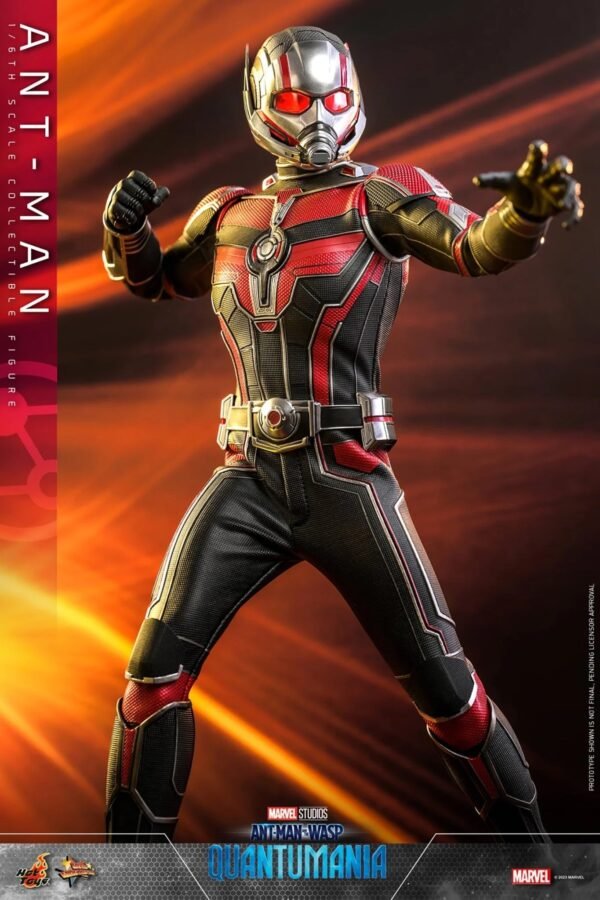 2024 Hot Toys Ant-Man and the Wasp: Quantumania Ant-Man Sixth Scale Figure - Image 5