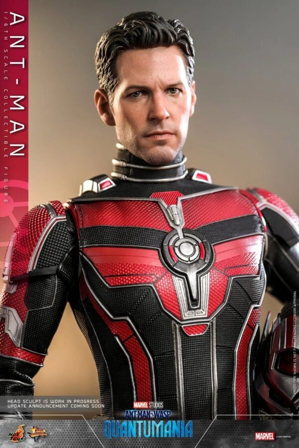 2024 Hot Toys Ant-Man and the Wasp: Quantumania Ant-Man Sixth Scale Figure - Image 7