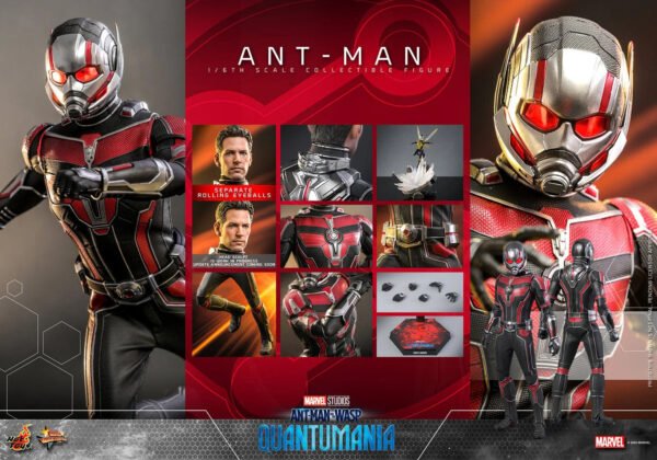 2024 Hot Toys Ant-Man and the Wasp: Quantumania Ant-Man Sixth Scale Figure - Image 8