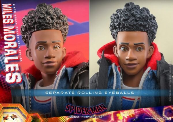 2024 Hot Toys Spider-Man: Across the Spider-Verse Miles Morales Sixth Scale Figure - Image 5
