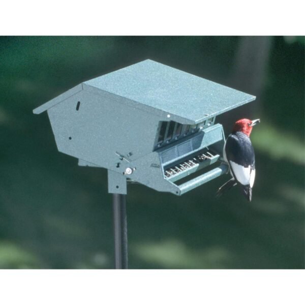 Audubon (#7511I) Bird’s Delight Squirrel Resistant Bird Feeder, 5 Gallon ?Green - Image 7