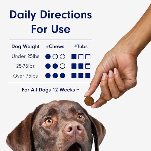 PetLab Co. Probiotics for Dogs  Support Gut Health  Diarrhea  Digestive Health & Seasonal Allergies ¨C Pork Flavor ¨C 30 Soft Chews ¨C Packaging May Vary (Value 2-Pack) - Image 4