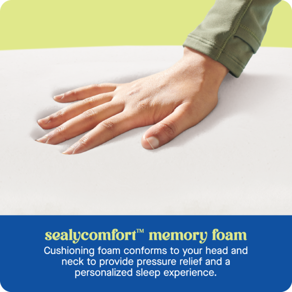 Sealy ¨C Sealy? DreamlifeTM Memory Foam Pillow, Standard ¨C White - Image 8