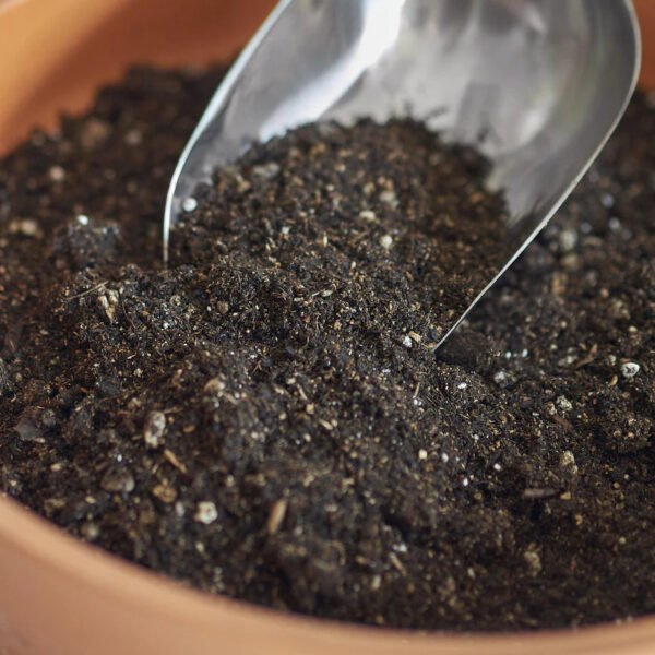 Indoor Plant Potting Soil Puck - Image 2